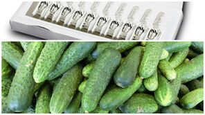 recettes de masques pour le rajeunissement de la peau des mains